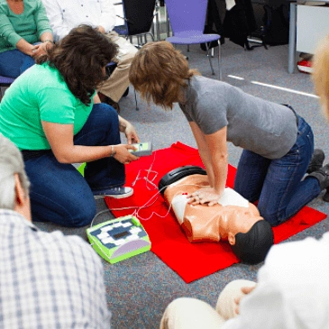 Screen-Shot-2016-11-03-at-10